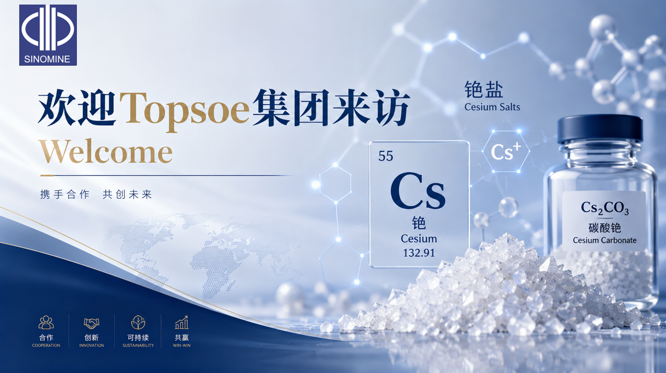 跨越十年，携手共赴——托普索集团到访中矿资源集团