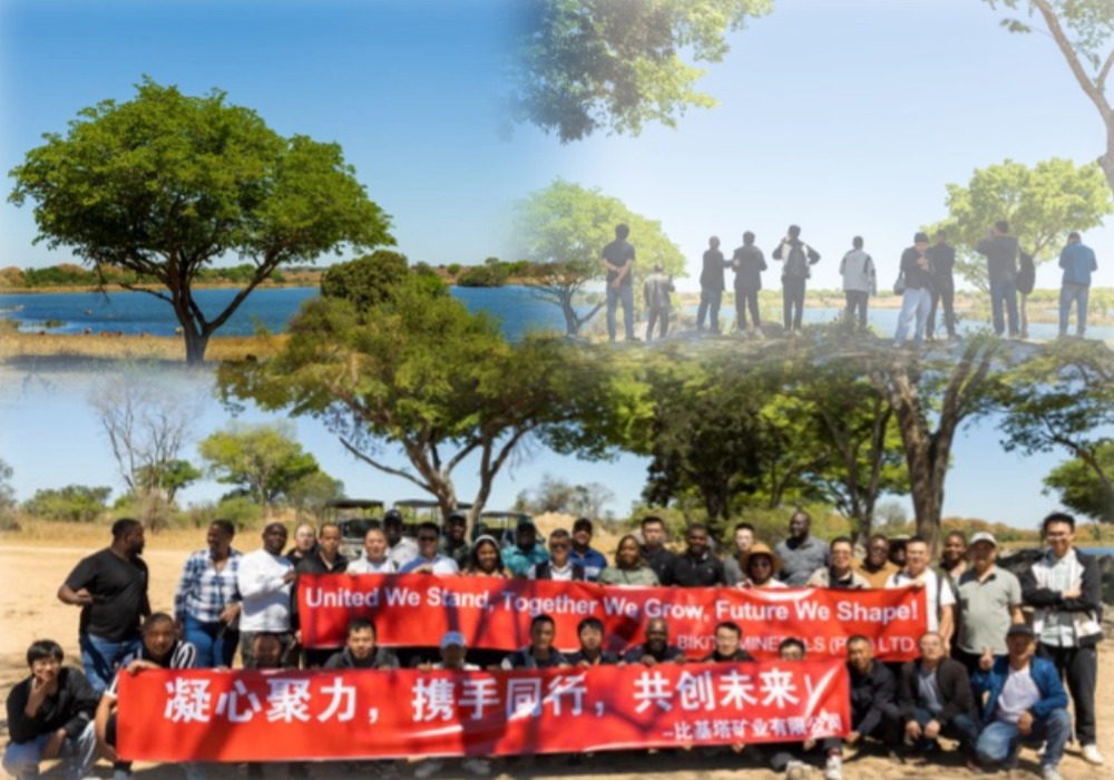 b1-1图片 1 (4).jpg